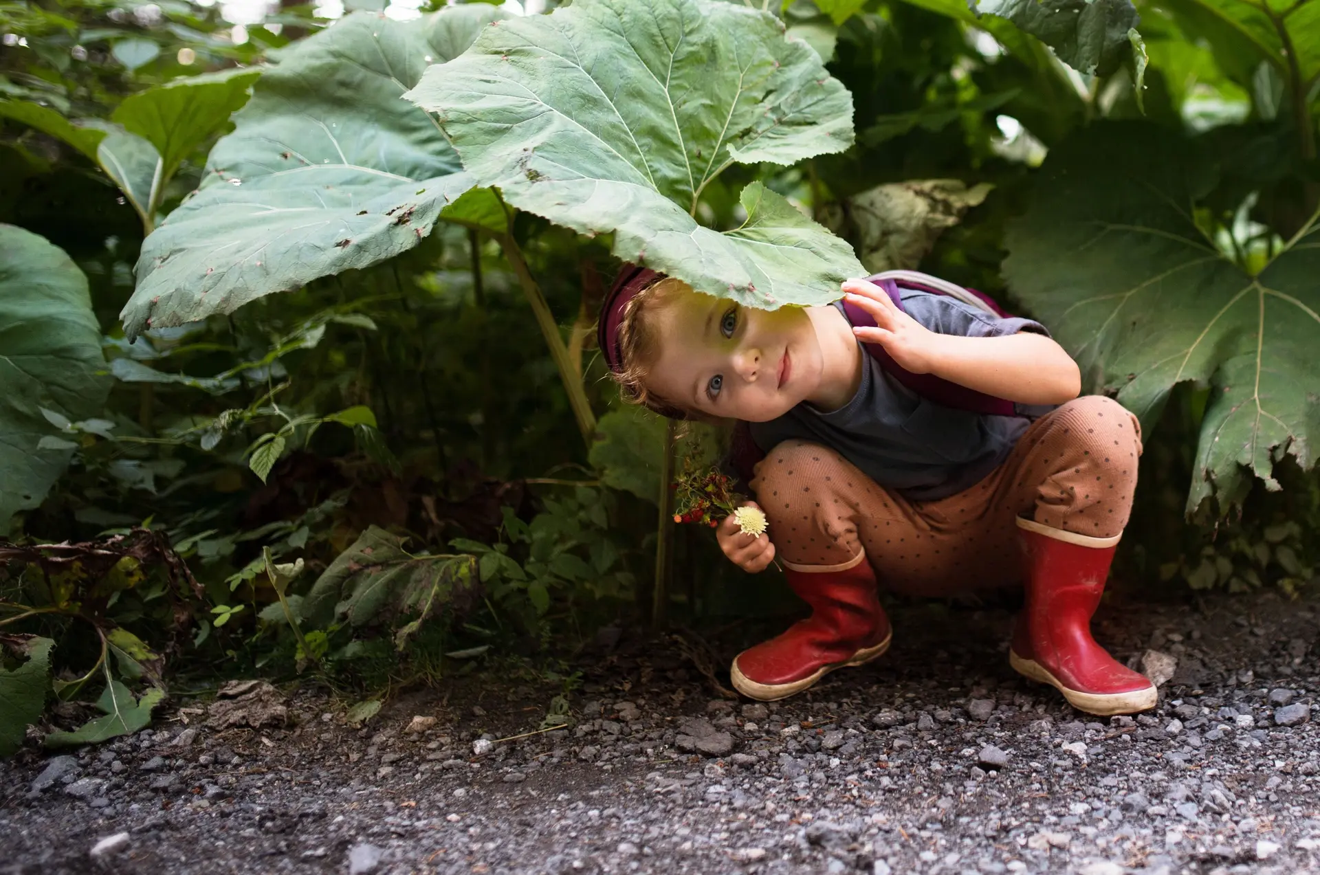 Ein Kind versteckt sich unter Klettenblättern. Das Mädchen grinst frech in die Kamera und hält einen kleinen Blumenstrauß in der Hand.