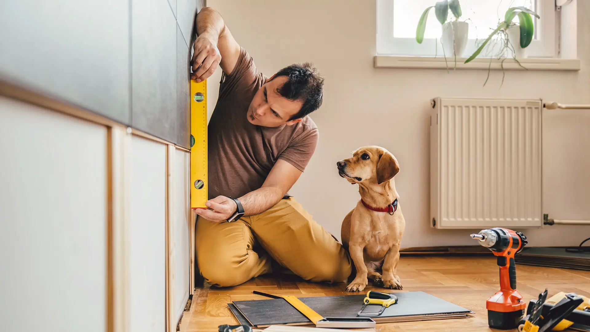 Mann und sein Hund bei Renovierungsarbeiten zu Hause
