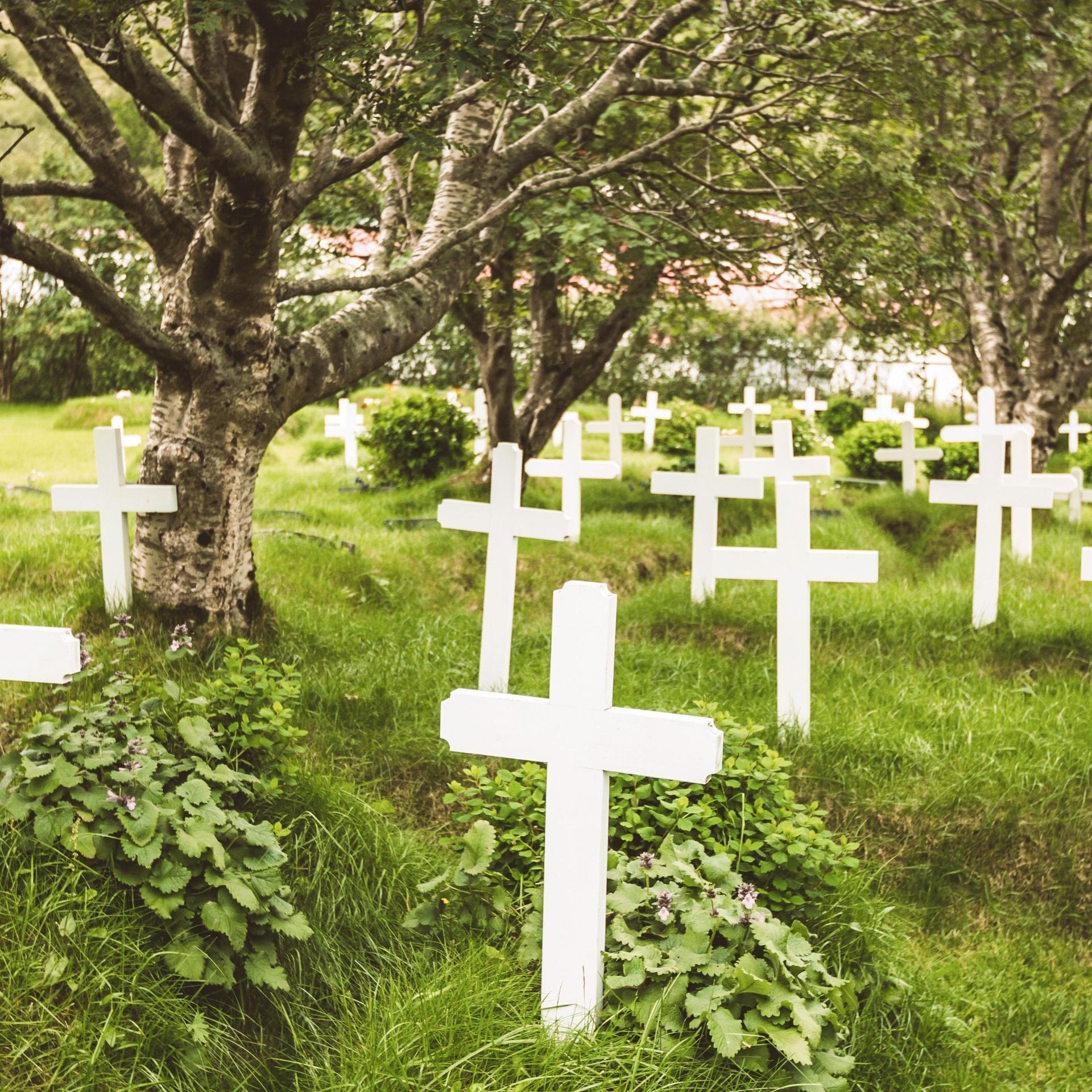 Eine anonyme Grabstaette mit weißen Kreuzen auf einer Wiese