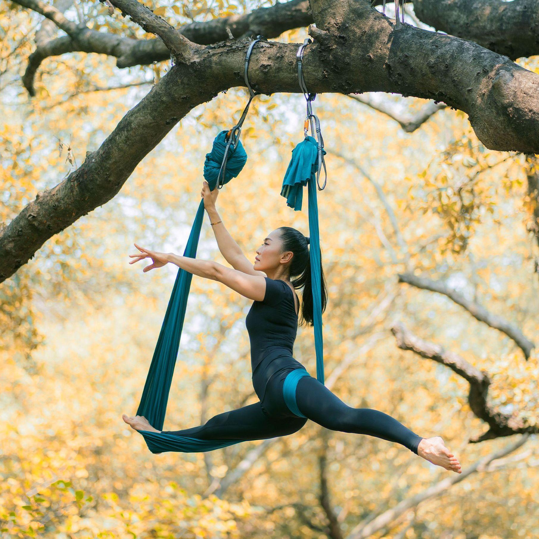 Eine sportliche, junge Frau zeigt eine Aerial-Yoga-Figur vor herbstlichen Bäumen mit gelb gefärbtem Laub. Sie hängt in einem Spagat in einem Aerial-Yoga-Tuch an einem Baumast. 