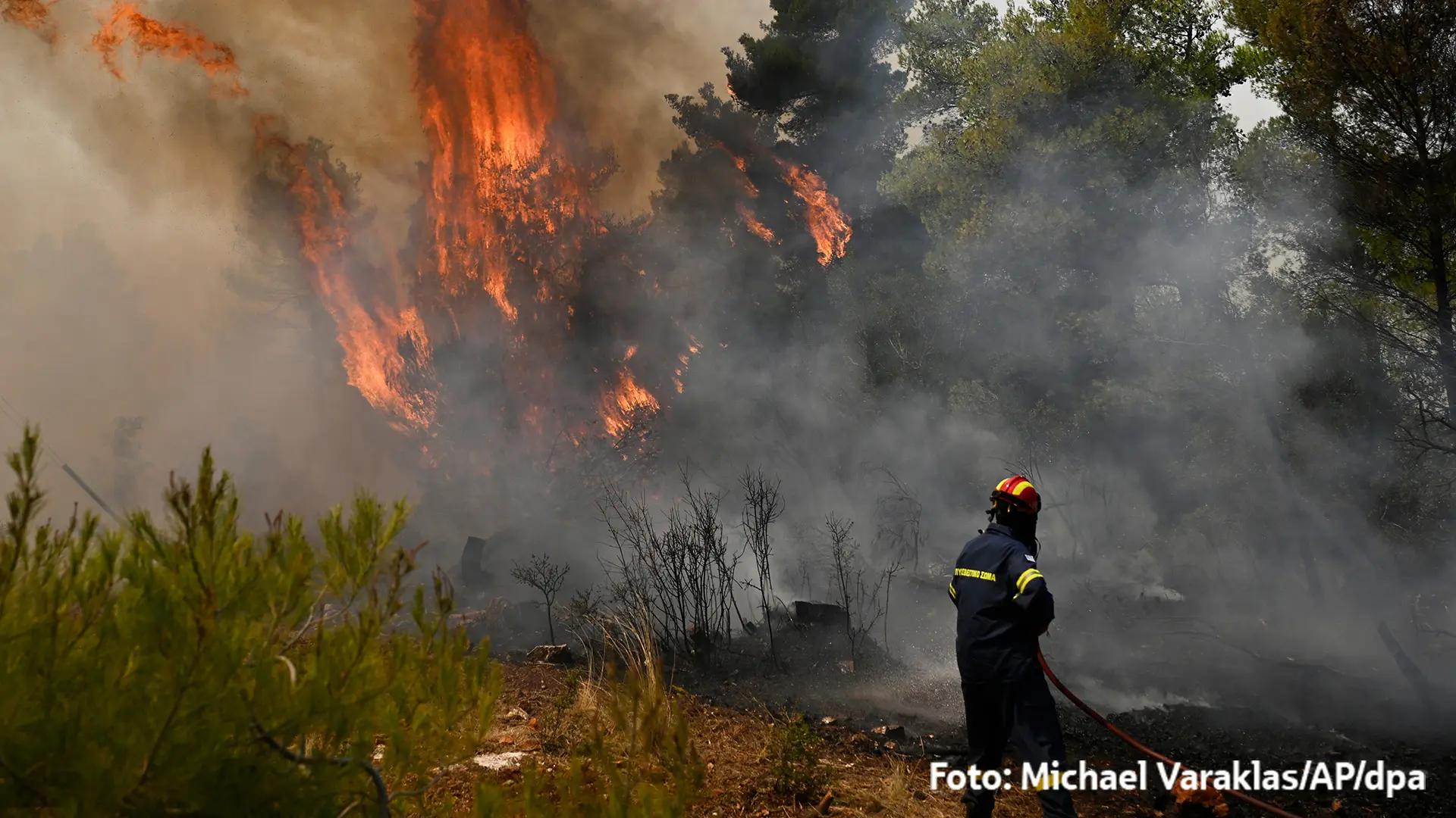 Feuerwehrmann löscht mit Schlauch einen Waldbrand; Flammen schlagen in den Baumwipfeln, dichter Rauch liegt in der Luft.