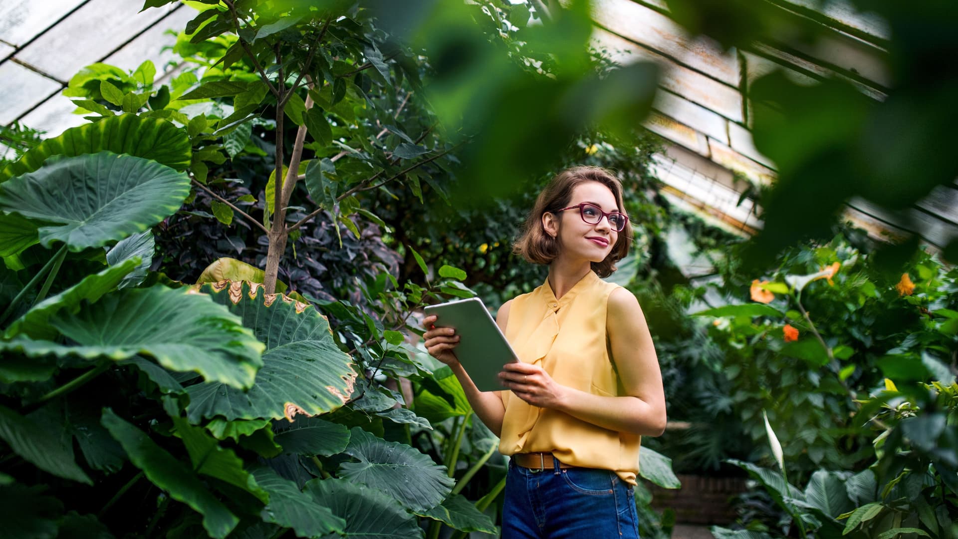Junge Frau mit Tablette steht sommerlich gekleidet im Gewächshaus und schaut zur Seite.