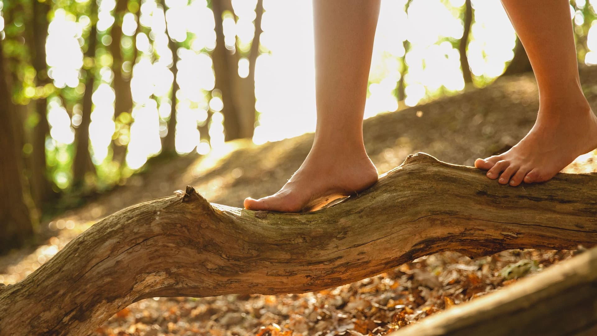 Kinderfüße auf einem umgekippten Baumstamm im Wald