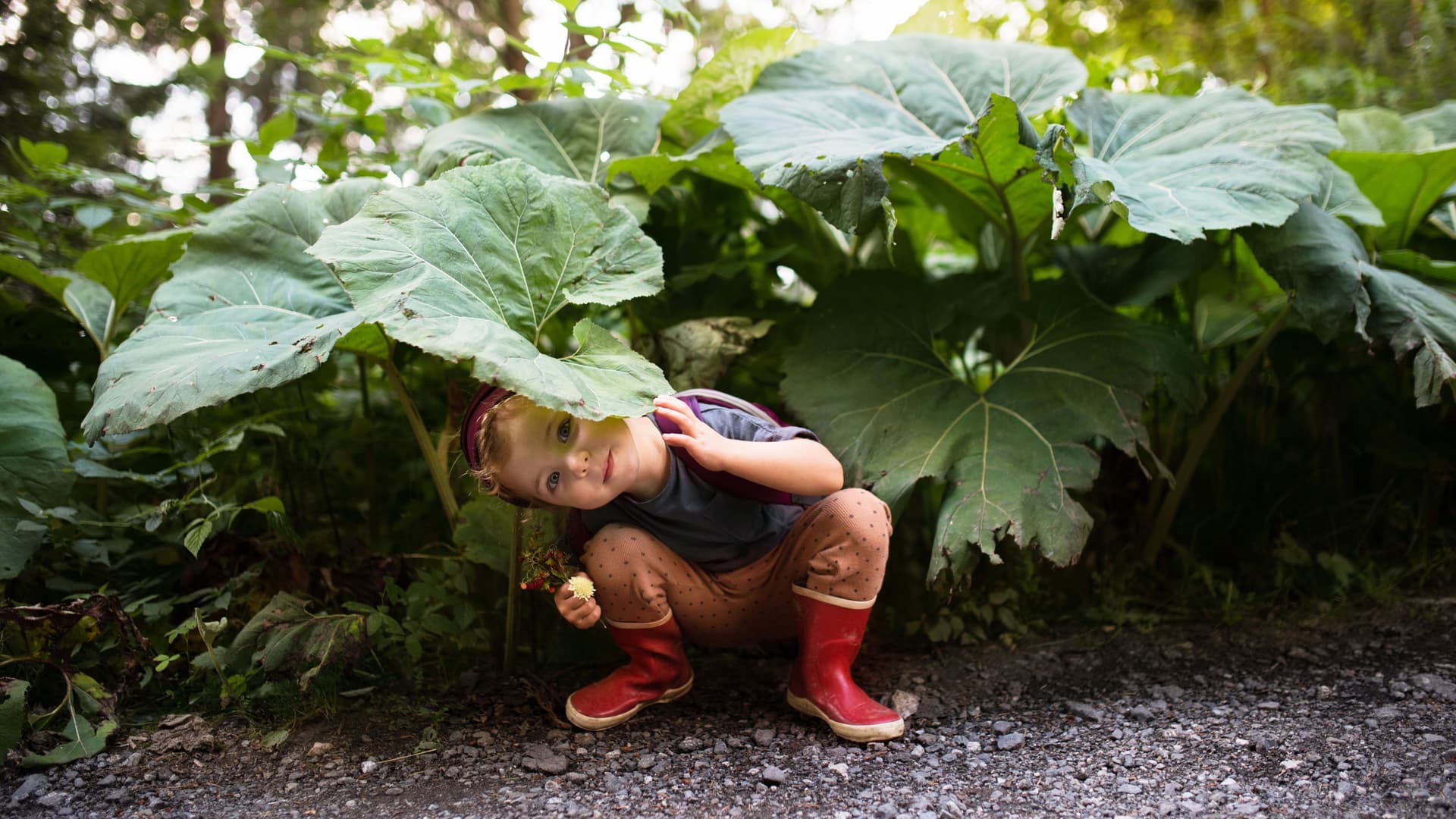 Ein Kind versteckt sich unter Klettenblättern. Das Mädchen grinst frech in die Kamera und hält einen kleinen Blumenstrauß in der Hand.