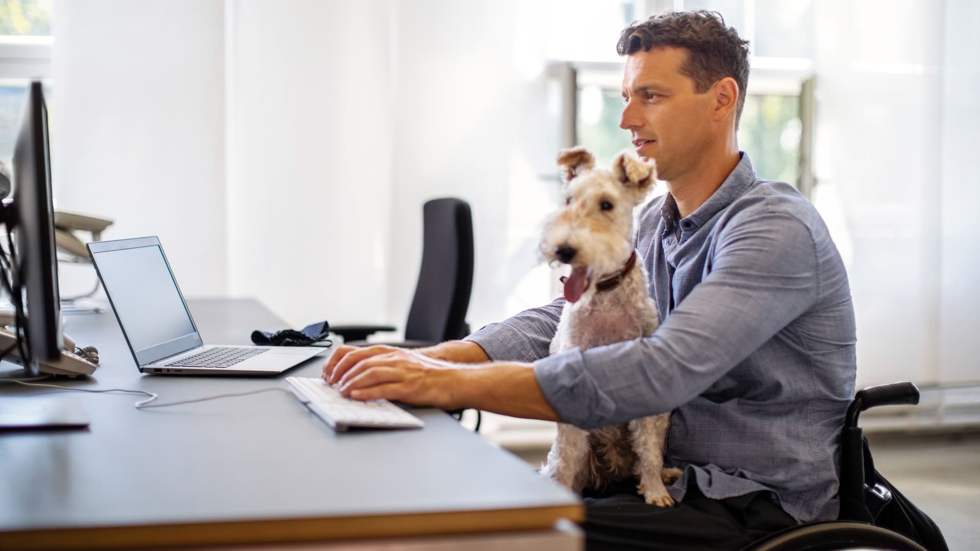Mann im Rollstuhl sitzt mit Hund auf dem Schoß vor seinem Computer und schreibt mit der Tastatur.