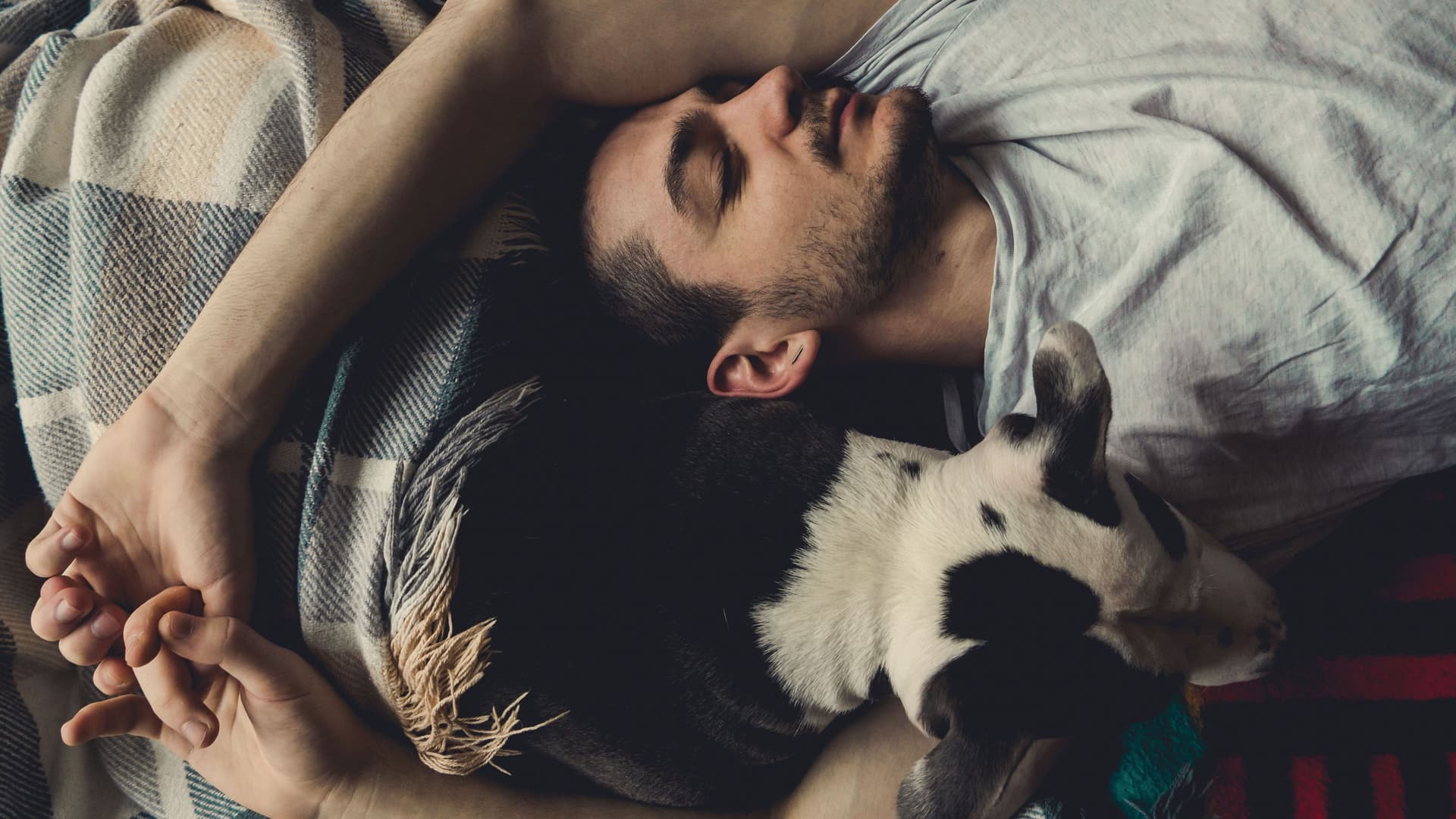 Junger Mann liegt mit Händen um einen Hund gelegt auf dem Bett und hat die Augen geschlossen. Blick von Oben.