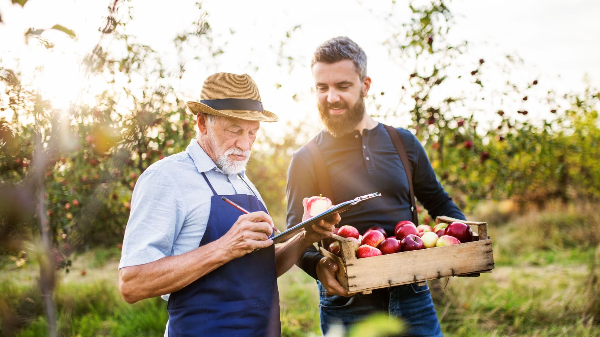 Zwei Männer ernten Äpfel. Ein Mann trägt eine Kiste voller Äpfel, ein anderer hält ein Klemmbrett und einen Stift in der Hand.